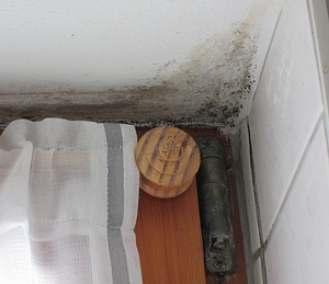 Schimmelpilz an Fensterleibung nach Dauerkipplüftung Schimmel / Schimmelpilz an kalter Fensterleibung nach Dauerkipplüftung